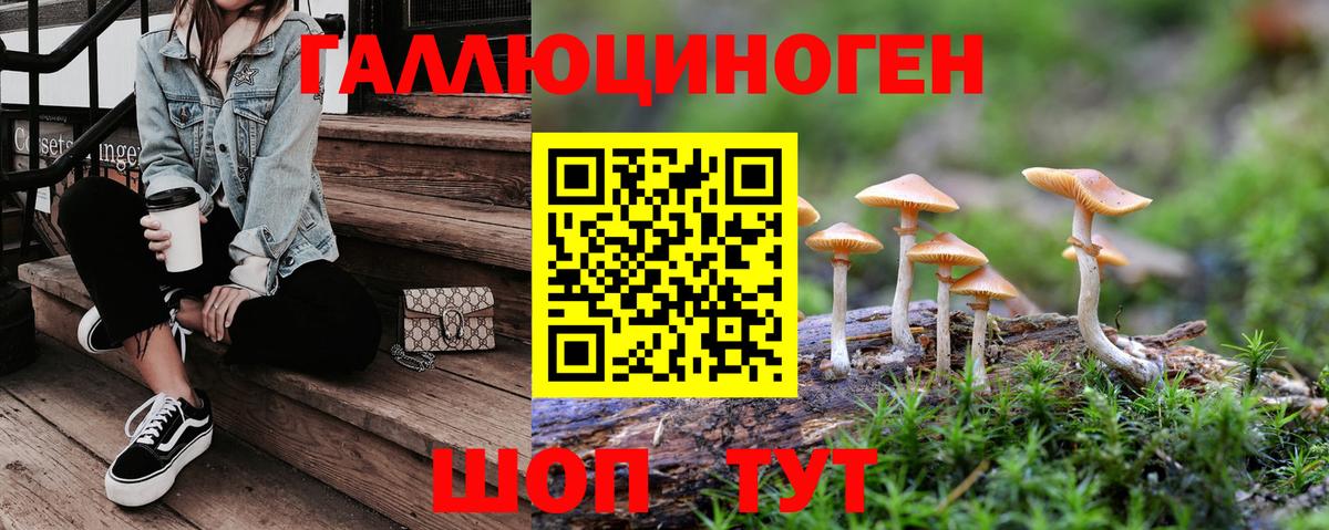 Псилоцибиновые грибы GOLDEN TEACHER  купить наркотик  Коломна  Псилоцибиновые грибы мухоморы  Вход с VPN 
